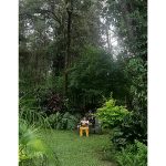 temp33 e (1)