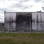 monifessel (10)