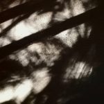 monifessel (5)